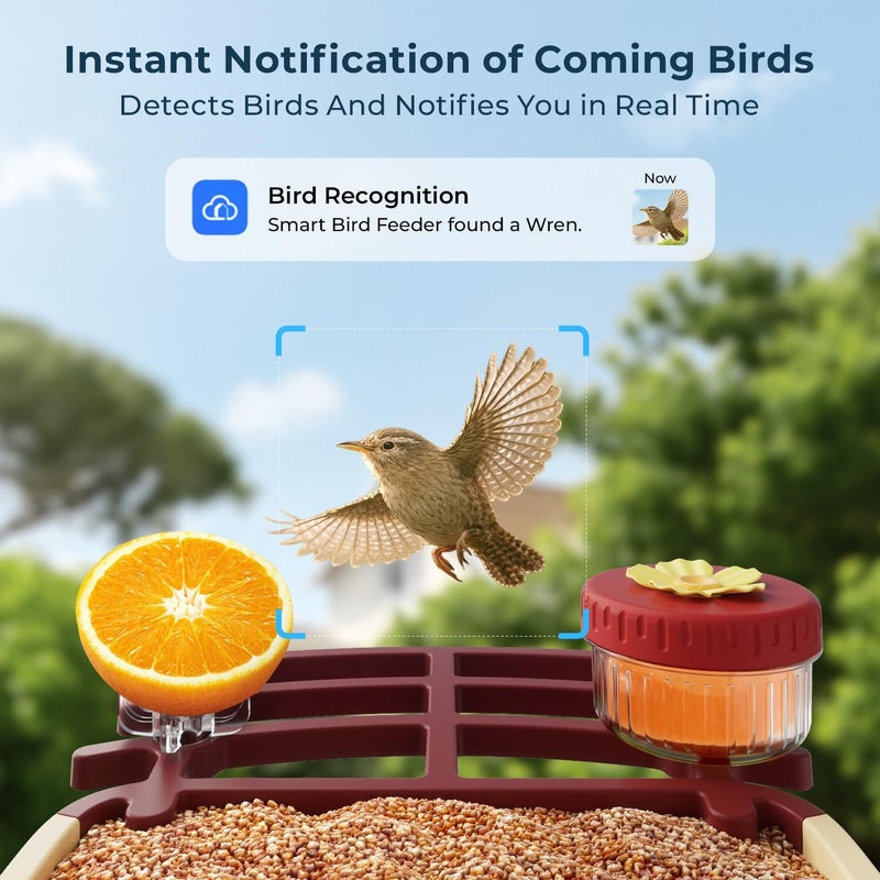 WESTHEY Bird Feeder with Camera, 2.5K HD Smart Bird Feeder Cam Outdoor with AI Recognition, Instant Arrival Alerts, Auto Capture Birds Videos, IP66 Waterproof Solar Powered, Ideal Gift (Red) - Image 4